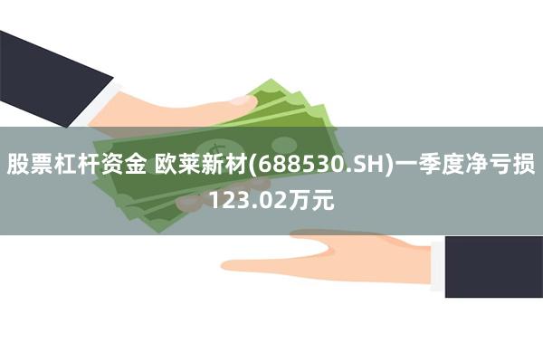 股票杠杆资金 欧莱新材(688530.SH)一季度净亏损123.02万元