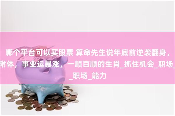 哪个平台可以买股票 算命先生说年底前逆袭翻身，锦鲤附体，事业运暴涨，一顺百顺的生肖_抓住机会_职场_能力