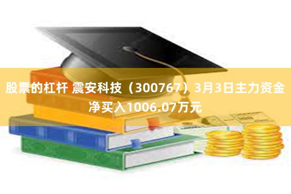 股票的杠杆 震安科技（300767）3月3日主力资金净买入1006.07万元