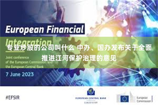 专业炒股的公司叫什么 中办、国办发布关于全面推进江河保护治理的意见