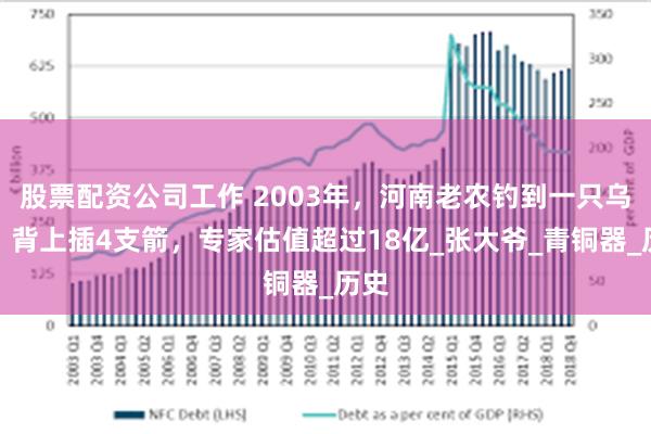 股票配资公司工作 2003年，河南老农钓到一只乌龟，背上插4支箭，专家估值超过18亿_张大爷_青铜器_历史