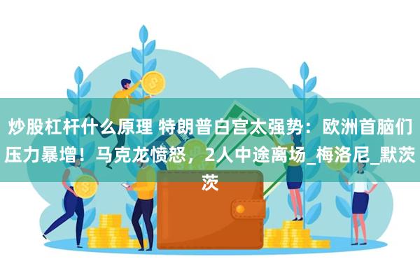 炒股杠杆什么原理 特朗普白宫太强势：欧洲首脑们压力暴增！马克龙愤怒，2人中途离场_梅洛尼_默茨