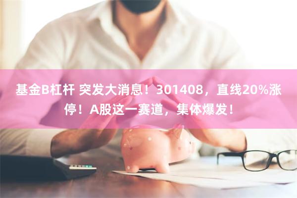 基金B杠杆 突发大消息！301408，直线20%涨停！A股这一赛道，集体爆发！